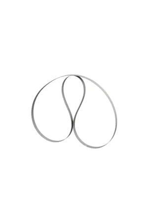 Compra Adesso lama sega a nastro per legno fervi N193 - 2560 x 16 x 0.65 mm - taglio dritto