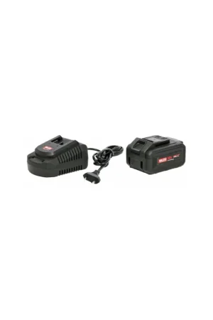 Offerta Speciale kit valex 1997420 oneall 18v - batteria da 5ah e caricabatterie da 2.4a