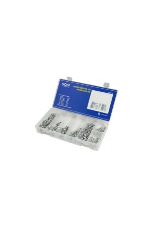 assortimento set serie di 100 ingrassatori testine innesto filettatura pollici sogi AS-100-ING Reso Gratuito