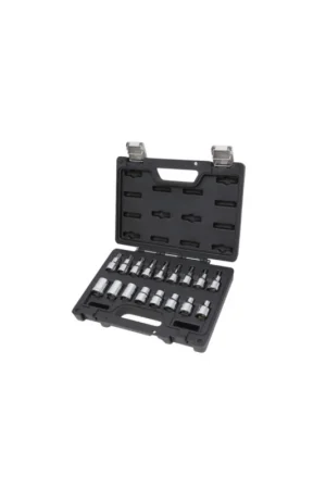 Acquista Ora assortimento di 17 chiavi a bussola per viti con profilo torx® beta bw 923e-ftx/c17 in cassetta di plastica