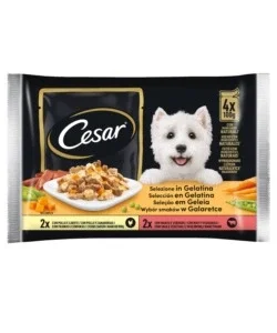 Alimento umido per cani cesar "selezione in gelatina" manzo e verdure 4 pz x 100 gr Acquista Ora