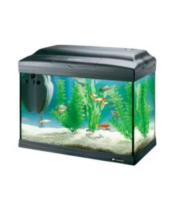 Acquario cayman 40 classic nero - 41,5 x 21,5 x h 34 cm - 21 l - ferplast Miglior Prezzo