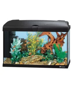 Acquario capri 60 nero con led - 60 x 31.5 x h 39.5 cm, 60 l - ferplast Offerta Speciale