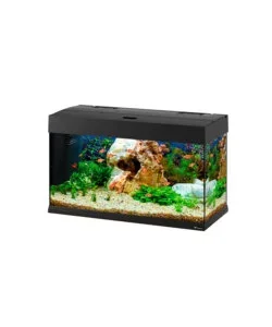 Acquario dubai 80 nero con led - 81 x 36 x h 51 cm, 125 l - ferplast Occasione