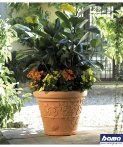 Vaso vite d. 60 Affare