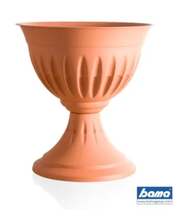 Affare Calice alba d. 33 terracotta
