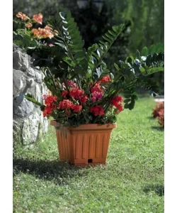 Vaso terra quadrato cm. 30 terracotta Ultima Occasione