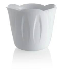 Acquista Ora Portavaso mimosa d. 35 b.co