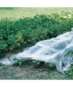 Vendita Finale Telo forzatura trasparente 2x10m