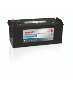 Affare Batteria tudor td2103 endurance + pro gel 12v 210ah dx sp. 1030 - l518 x h240 x p279.