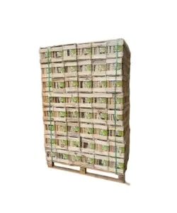 Bancale 96 cassette di legnetti 100% abete accendifuoco - 6 kg in origine Esclusivo