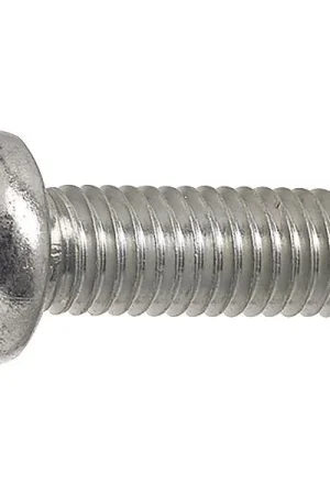 ~ISO73808.8 M 4x6 Torx 20 zincato vite a testa bombata Offerta Limitata