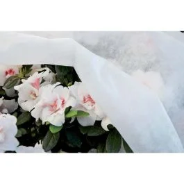 Verdelook Cappuccio in tnt, 17 gr, 1,6x1 mt, colore bianco Solo Oggi