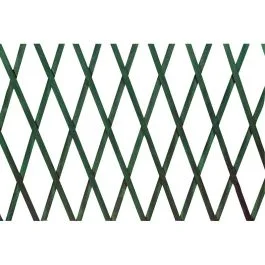 Verdelook Traliccio in legno, estensibile, 100x200 cm, verde Pagamento Sicuro