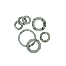 Guaniz. sanitarie da 1'' 1/4 Soddisfatti O Rimborsati