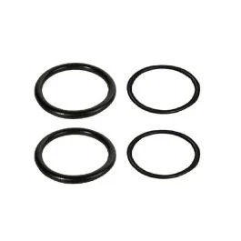 2 guarn.boccia sifone +2 anelli x pil. Direttamente Dal Produttore