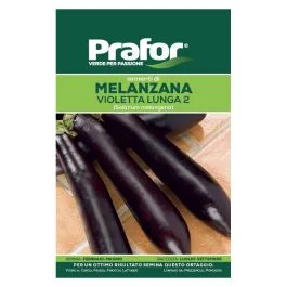 A Buon Prezzo Hortus Semi prafor melanzana violetta lunga 2 bts