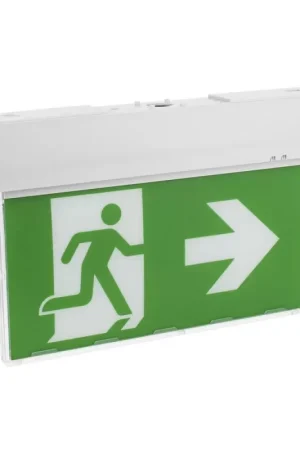 Economico Lampada di Emergenza a Bandiera 5,5W 6500K SE o SA Durata 3H EMG2108