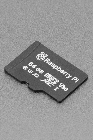 Adafruit Scheda microSD Classe A2 ufficiale Raspberry Pi - 64GB senza dati Popolare