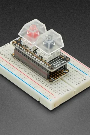 Adafruit NeoKey FeatherWing - Due interruttori a chiave meccanici con NeoPixels Professionale