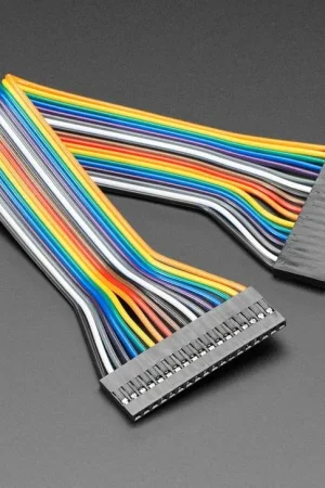 Adafruit Cavo jumper da 2,54 mm, passo 0,1", 18 pin - lunghezza 20 cm Esclusivo