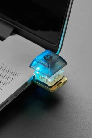 Adafruit NeoKey Trinkey - Interruttore a chiave meccanico USB NeoPixel Reso Gratuito